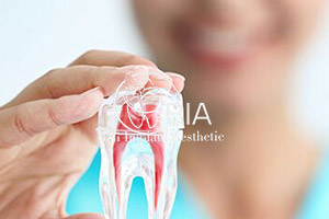 Blog Article Bia Dental